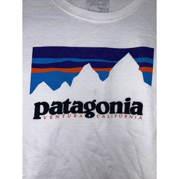 Patagonia Other - Patagonia Long Sleeve T-Shirt Adult Large White Classic Back Big Logo Tee
